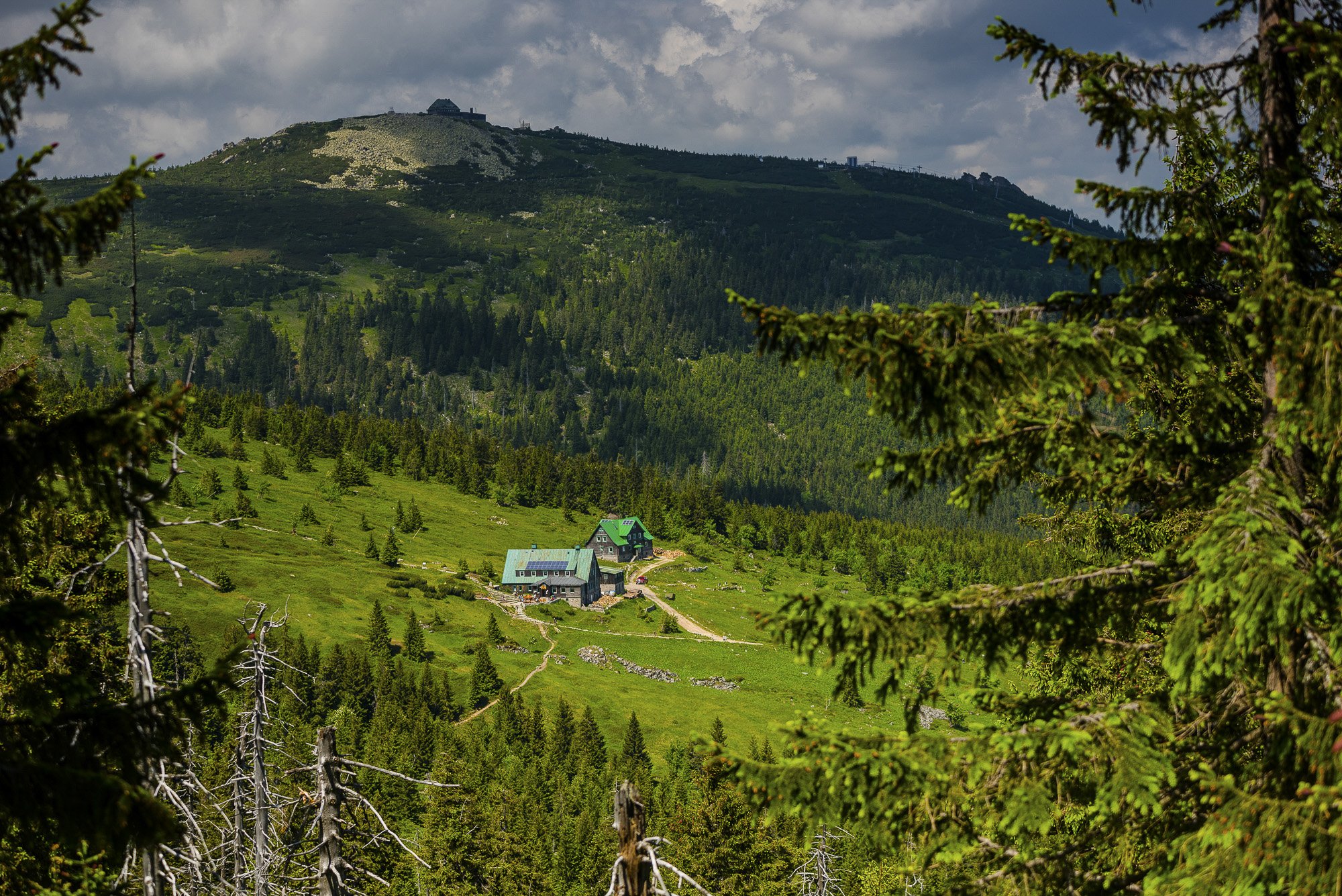 Dwa schroniska z zielonymi dachami na górskiej łące otoczone iglastym lasem i ścieżką, w tle szczyt