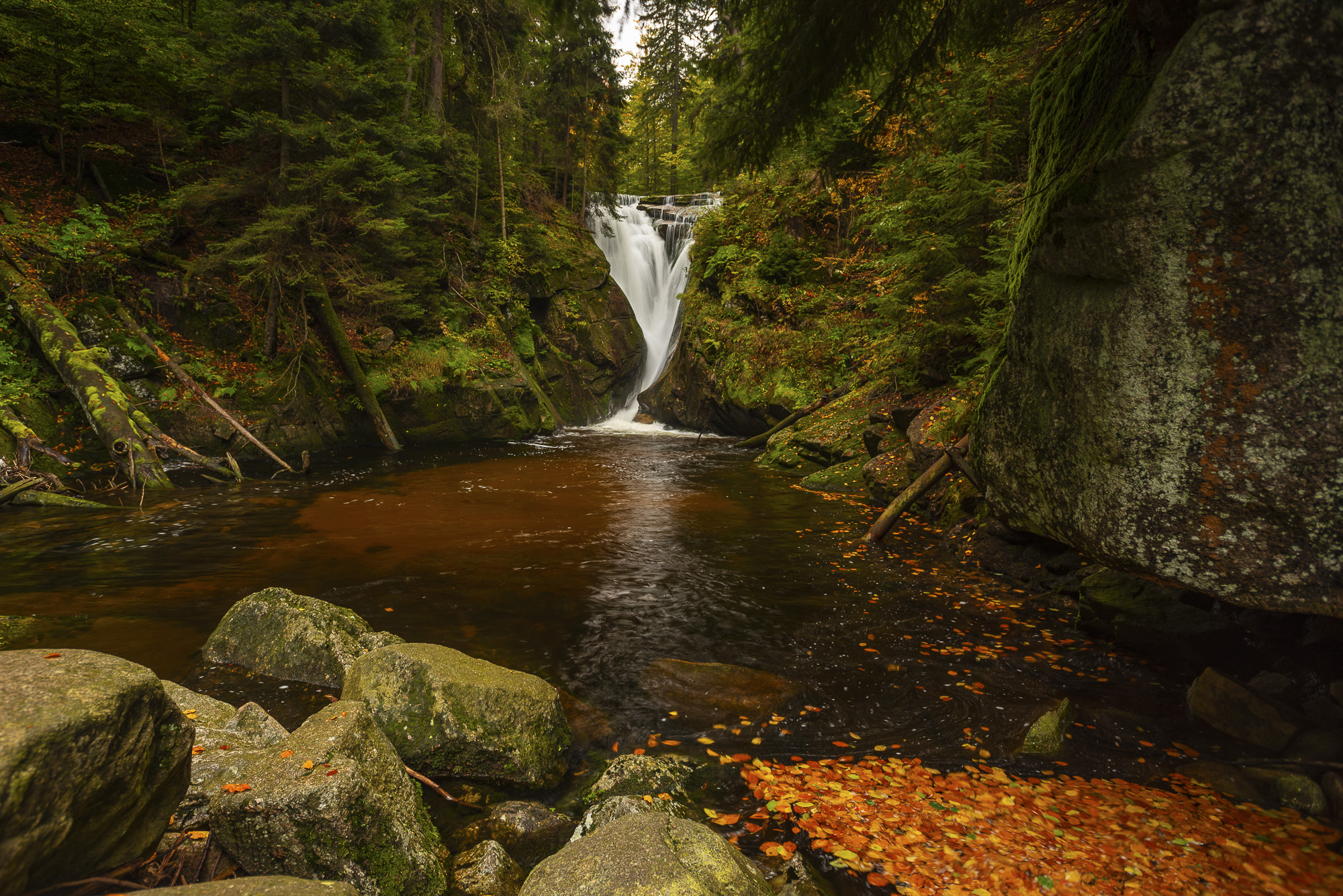 Wodospad w gęstym lesie, mszyste skały i brązowo-czerwone liście unoszące się na wodzie